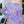 Multicolor Printed Wide Neck Thumbhole Sleeve Henley Top